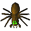giant spider 8.1s